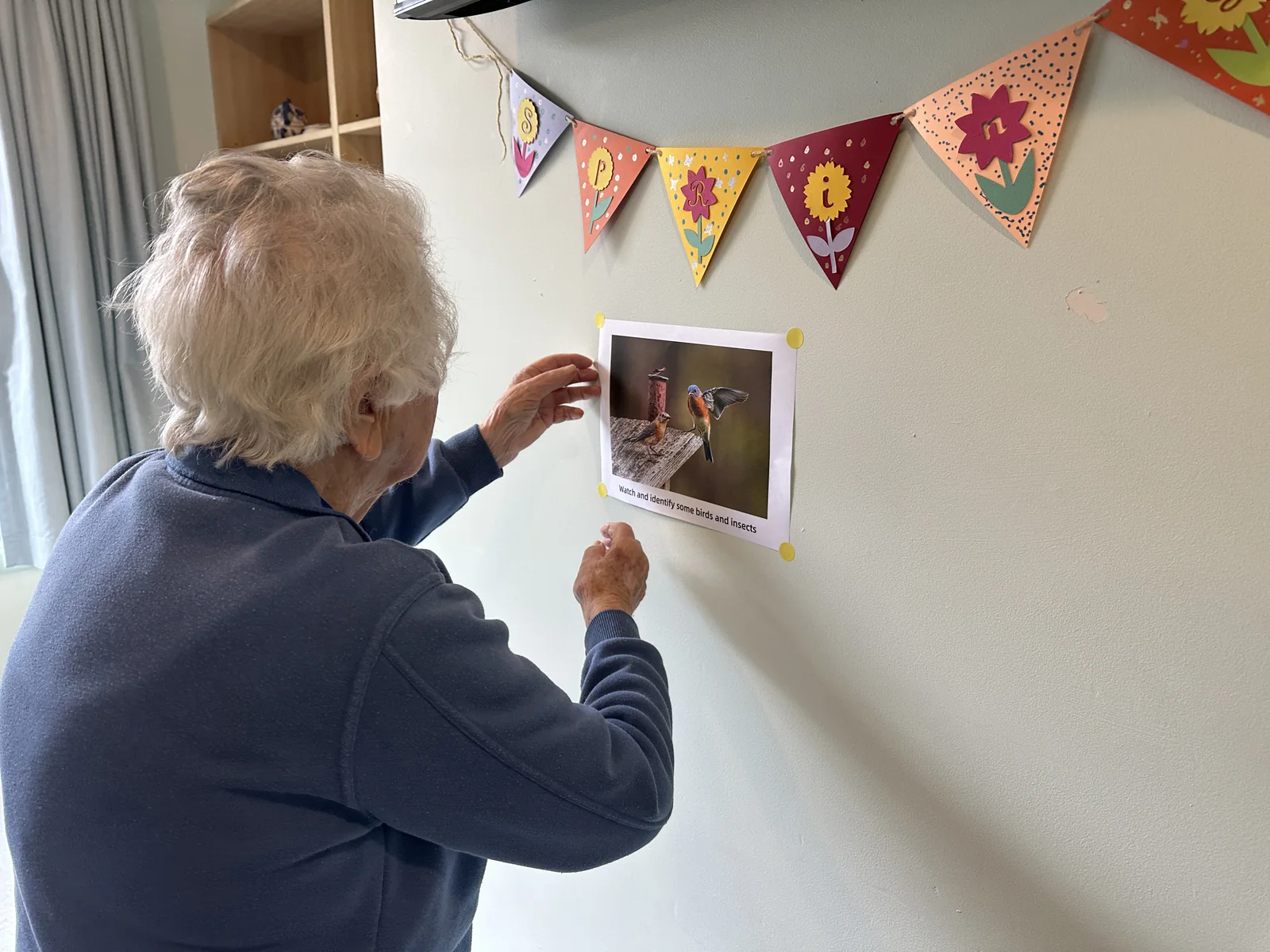 A resident placing a bird photograph on an indoor wall