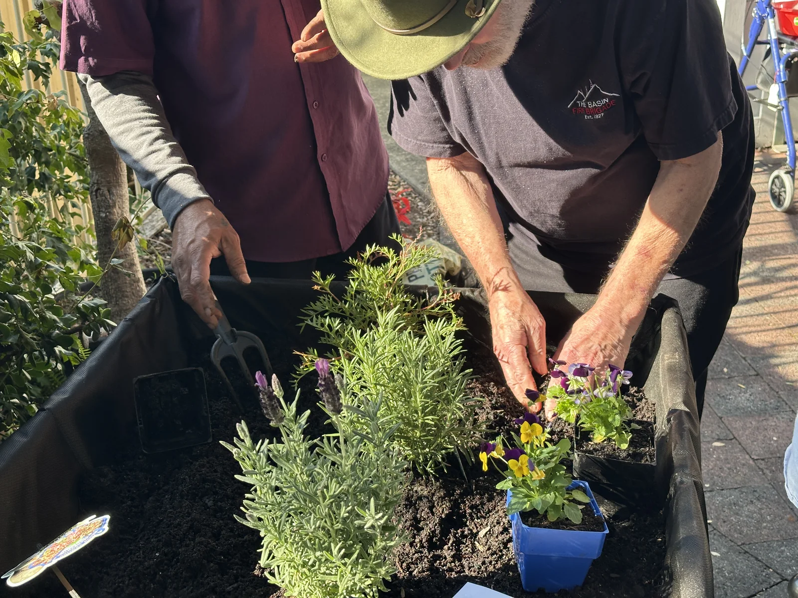Two people tending a flowering plant together in a raised garden bed
