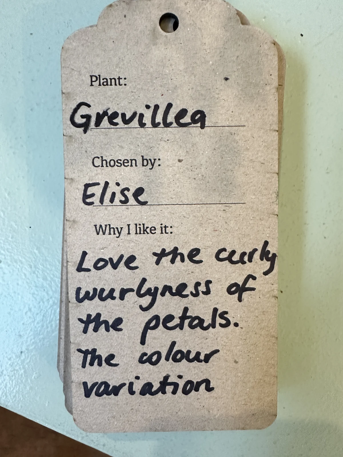 Grevillea preference label recording a plant choice