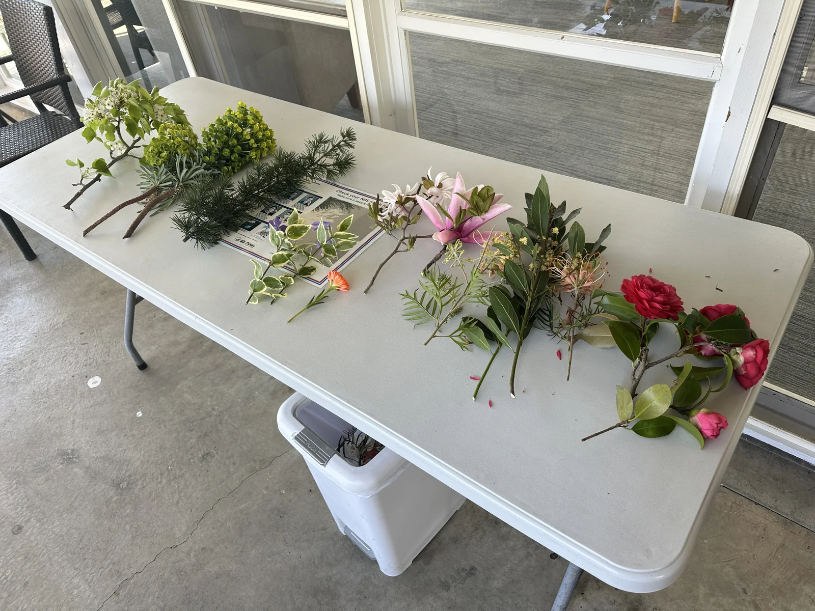 Fresh plant materials arranged on a table